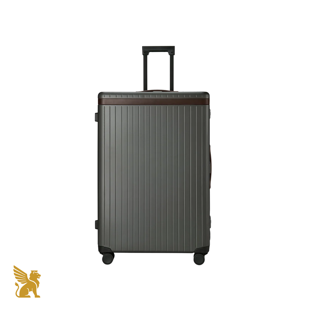 Carl Friedrik The Check-In