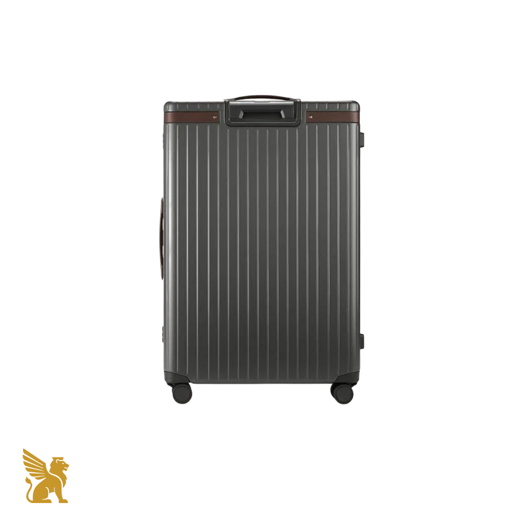 Carl Friedrik The Check-In