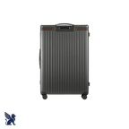 Carl Friedrik The Check-In