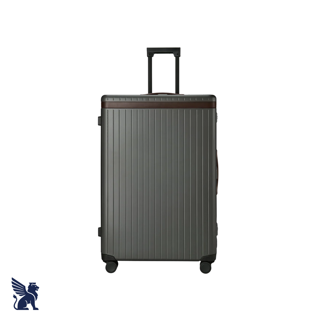 Carl Friedrik The Check-In