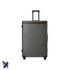 Carl Friedrik The Check-In