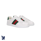 Gucci Ace Sneaker con Web