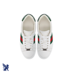 Gucci Ace Sneaker con Web