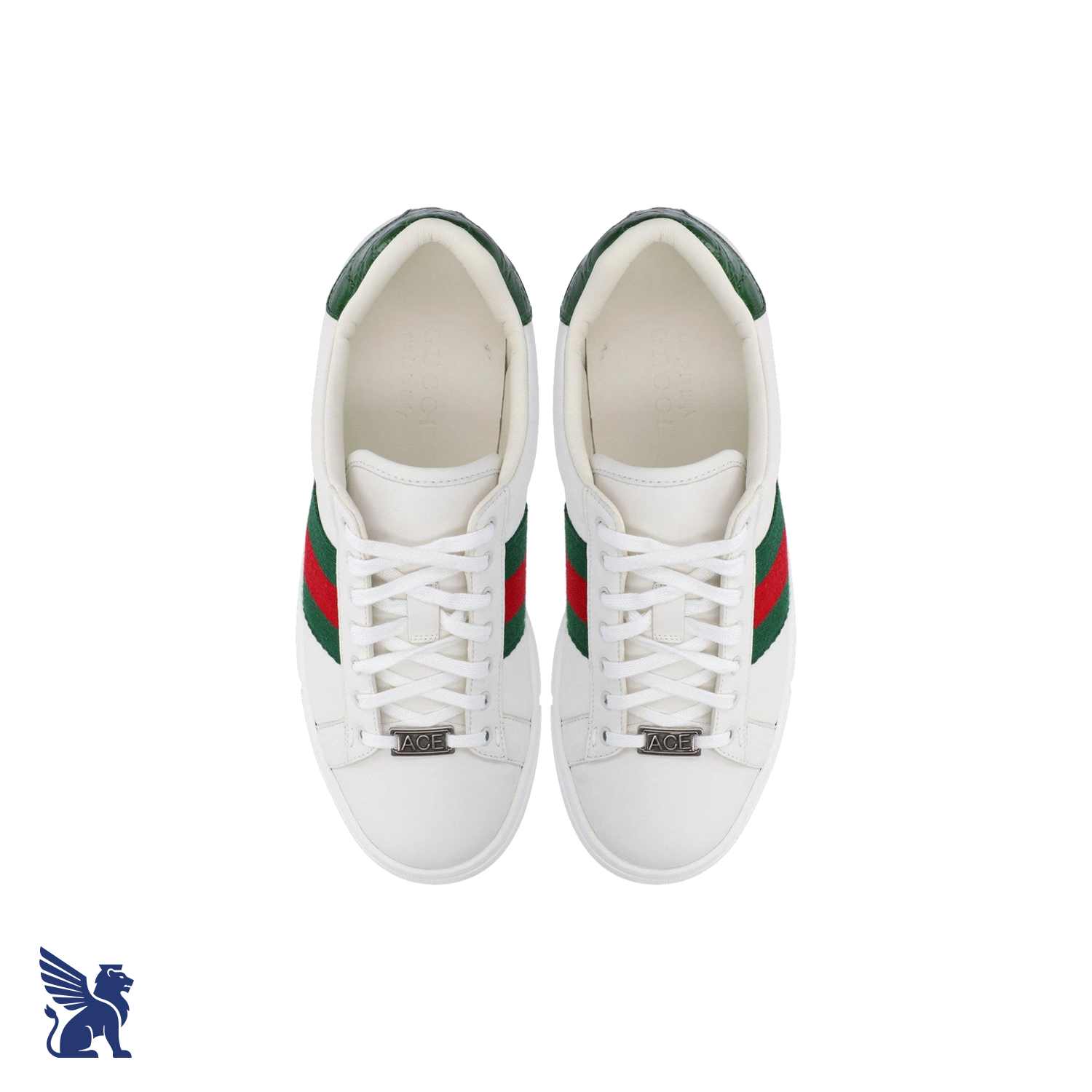 Gucci Ace Sneaker con Web