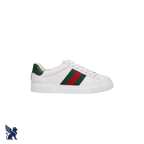 Gucci Ace Sneaker con Web