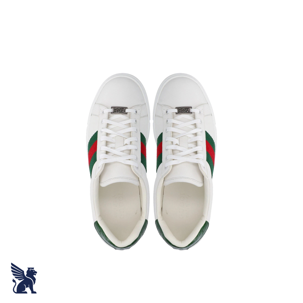 Gucci Ace Sneaker con Web