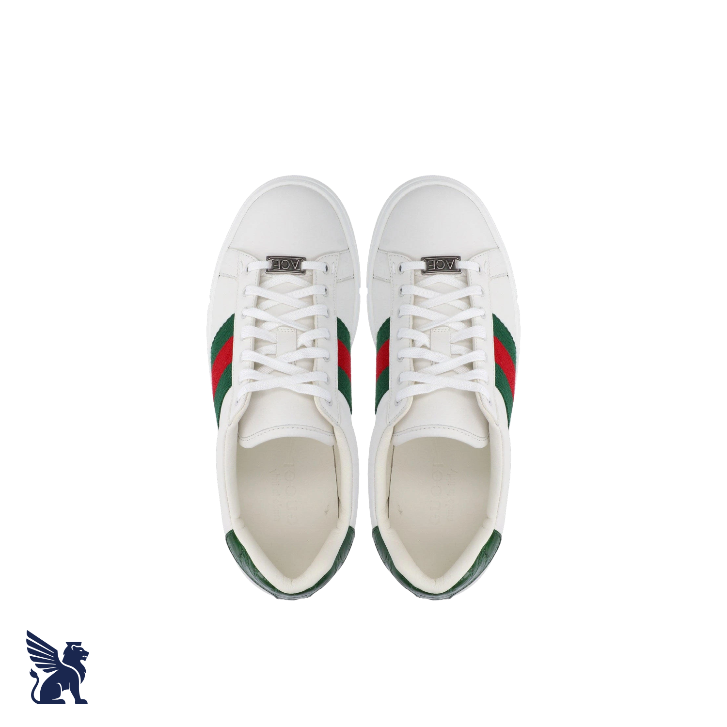 Gucci Ace Sneaker con Web
