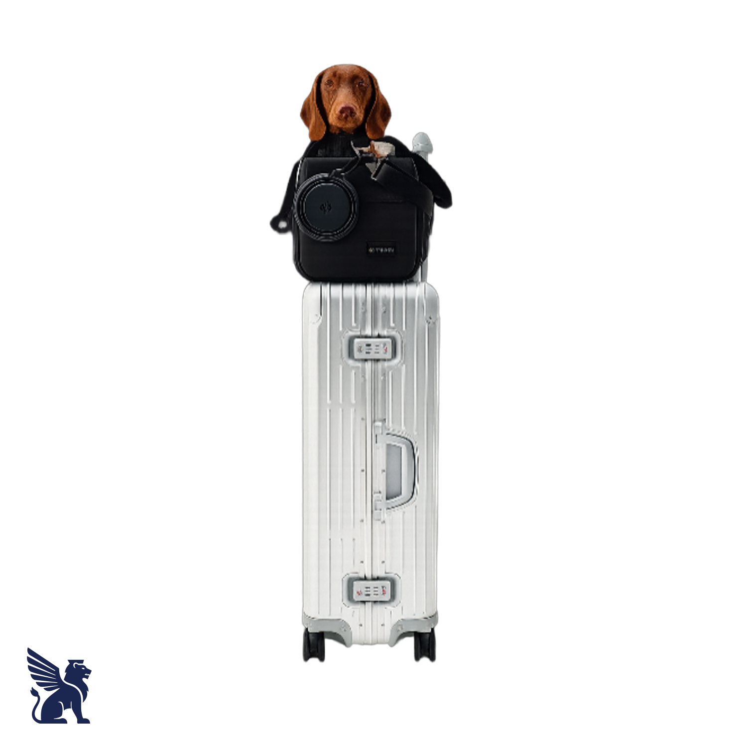 Rimowa Puppy Edition